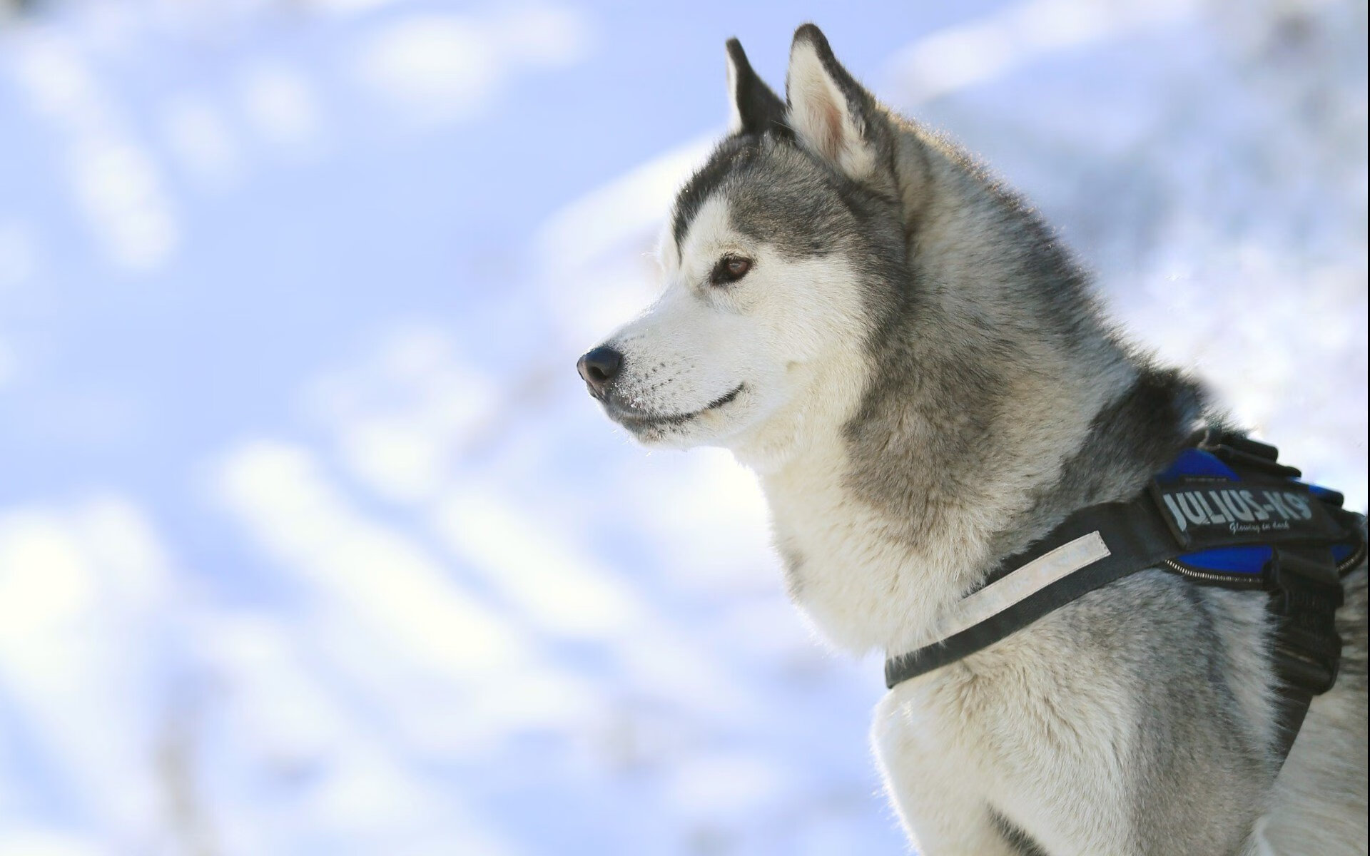 火力编织的猎网，山西用三分雨改写西决战局