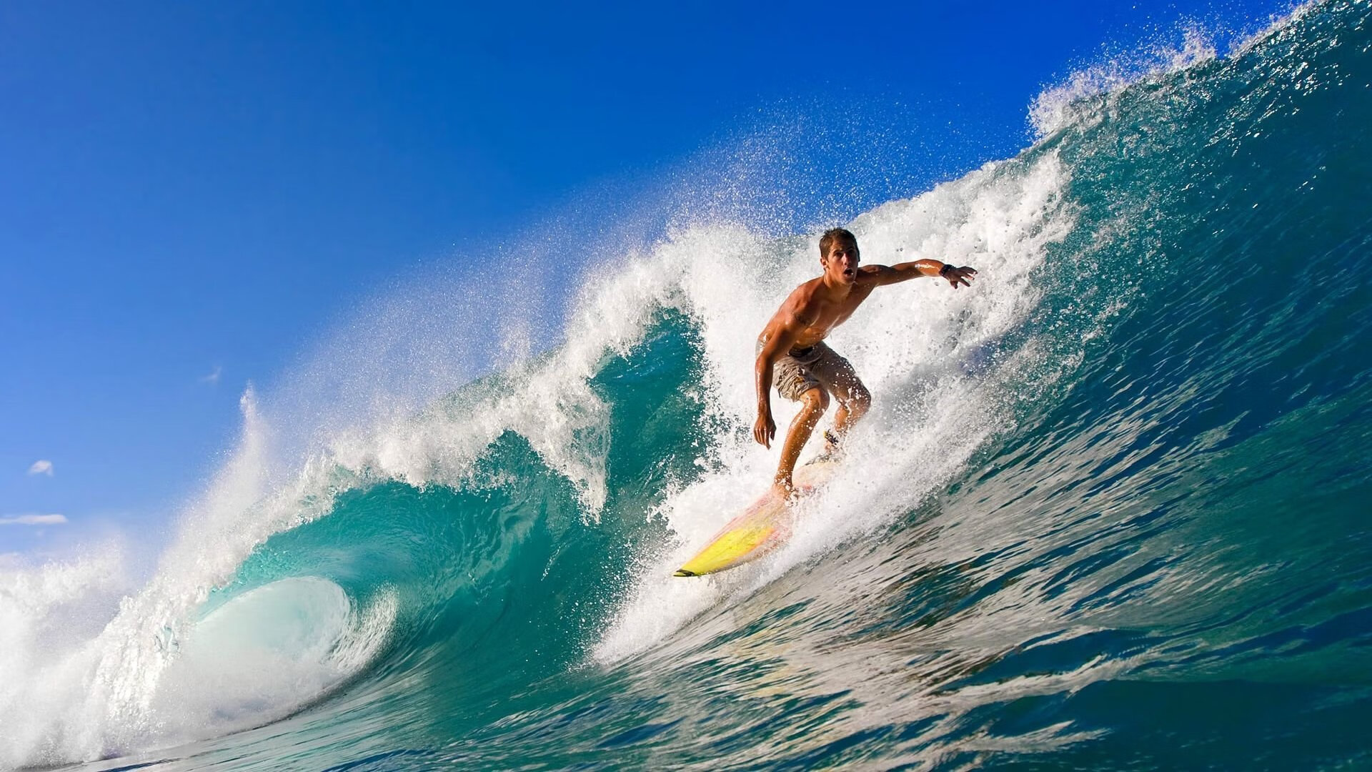 冰与火的对决，当森林狼的坚冰遇见深圳的烈焰，哈利伯顿的纪录在中间燃烧