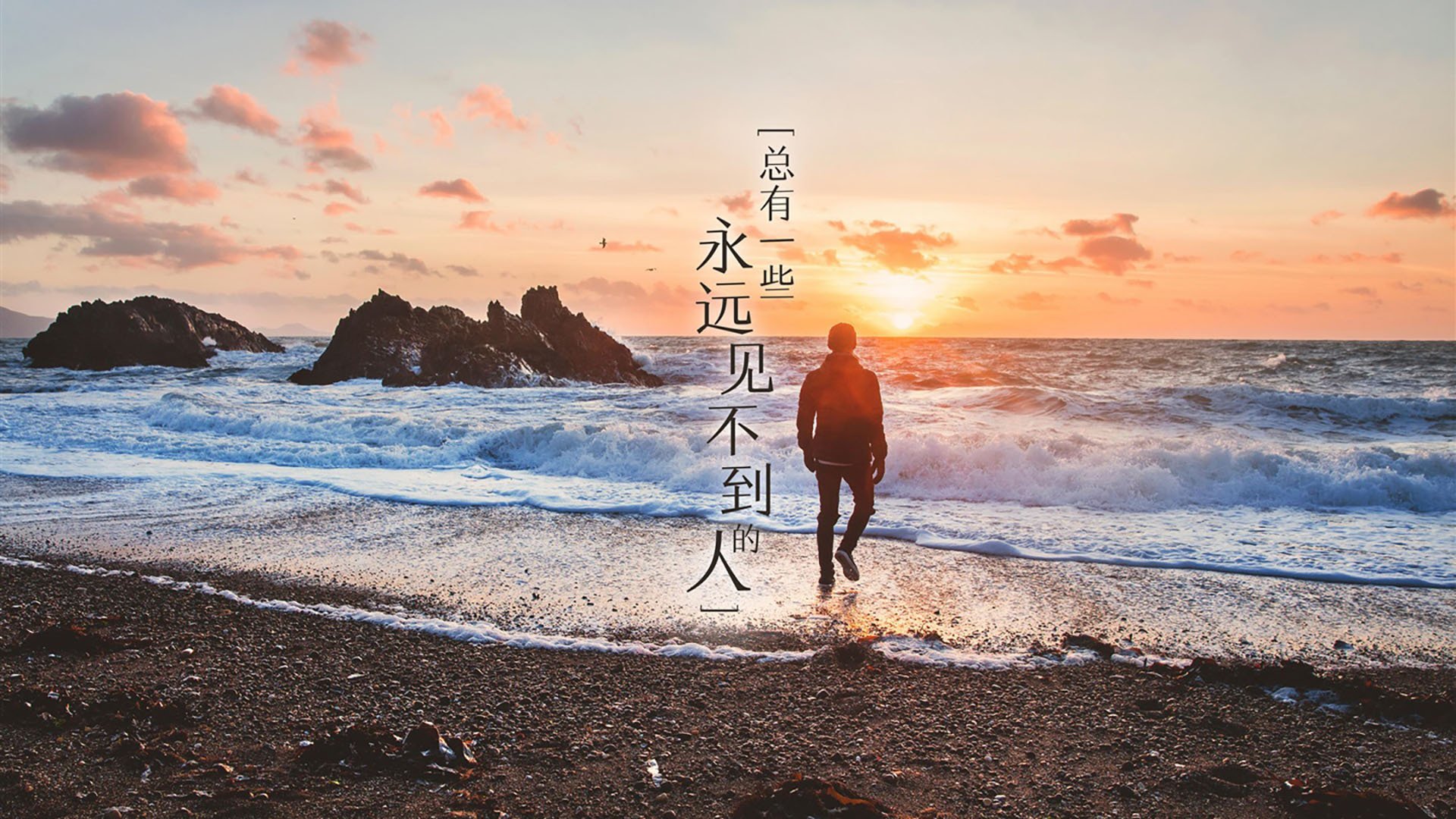 从奥兰多到多伦多,锡安用魔术拆解王权,在世界杯画布上泼洒天赋