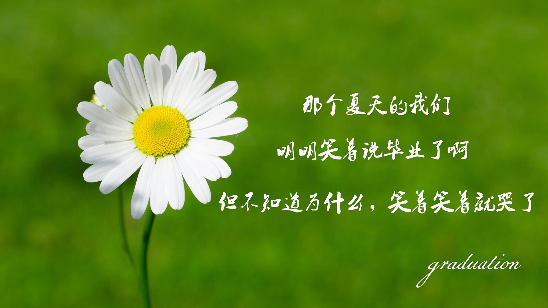凯文·杜兰特同时出现在两个赛场，时空折叠的体育奇迹