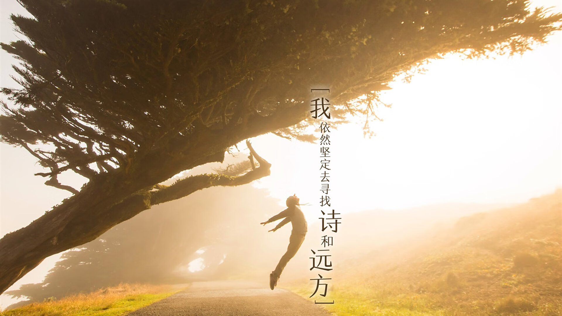 双面神之刃,当阿尔瓦雷斯的孤胆英雄主义,撞上勒沃库森的精密体系机器