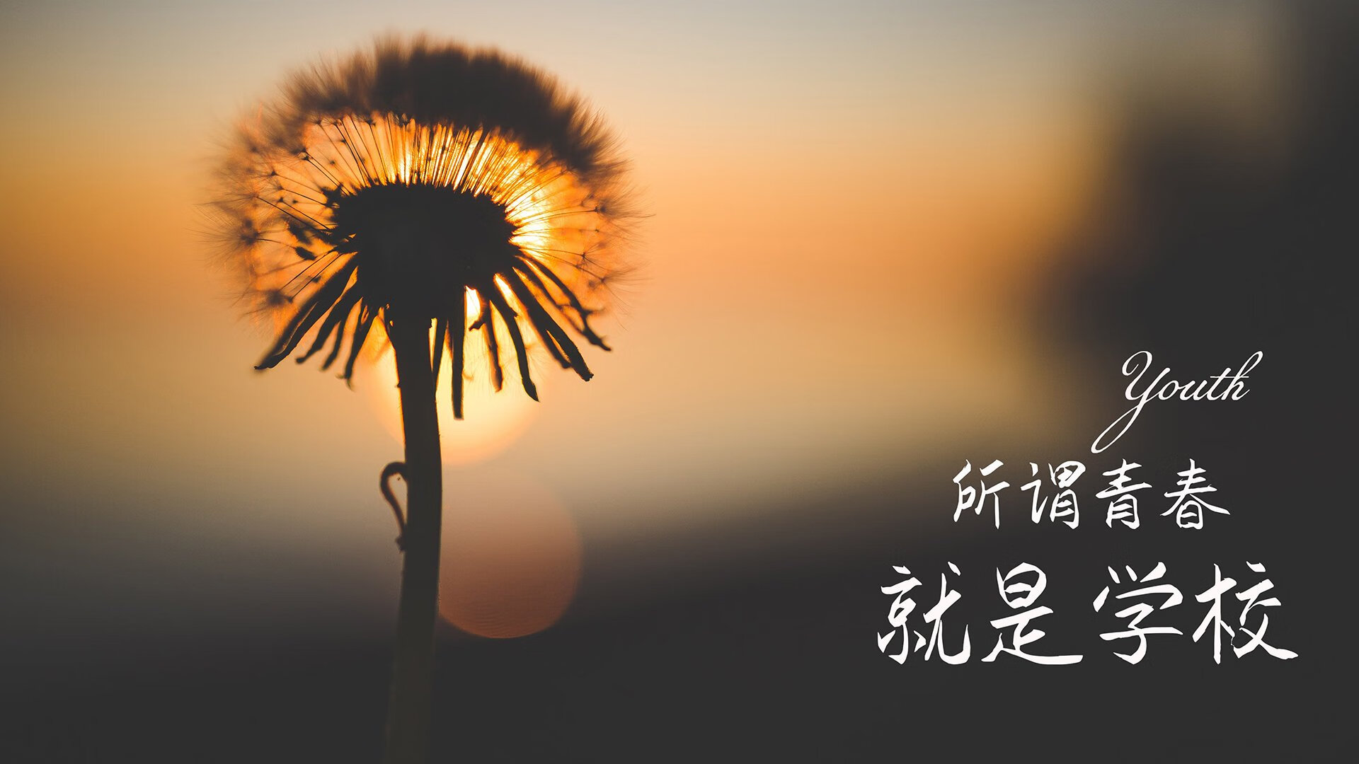 北极熊与雄鹿的冰火博弈,西亚卡姆在世界舞台的加冕之战